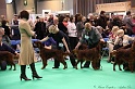 Crufts2011 349